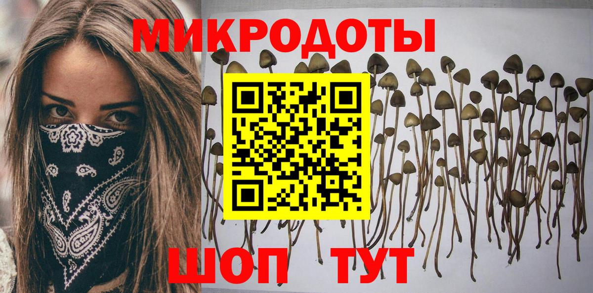 Псилоцибиновые грибы мицелий Алатырь